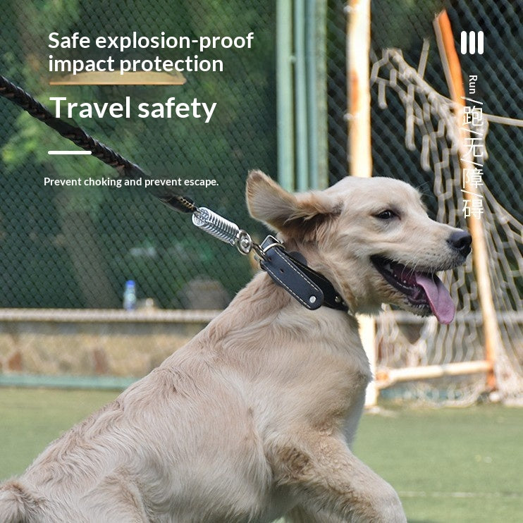 Enceinte antidéflagrante pour chiens moyens et grands