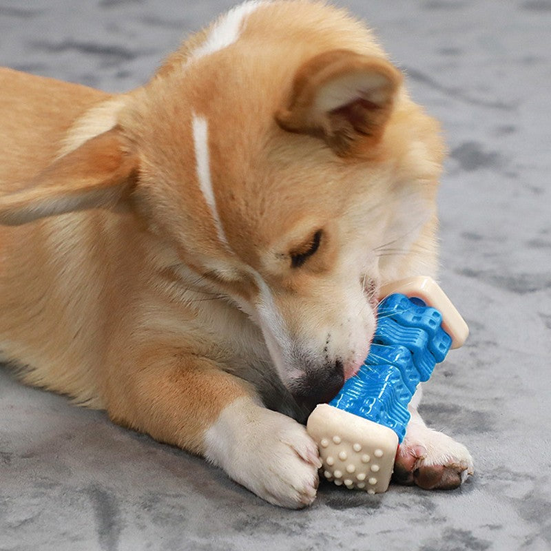 Jouet interactif pour chien pour chien agressif