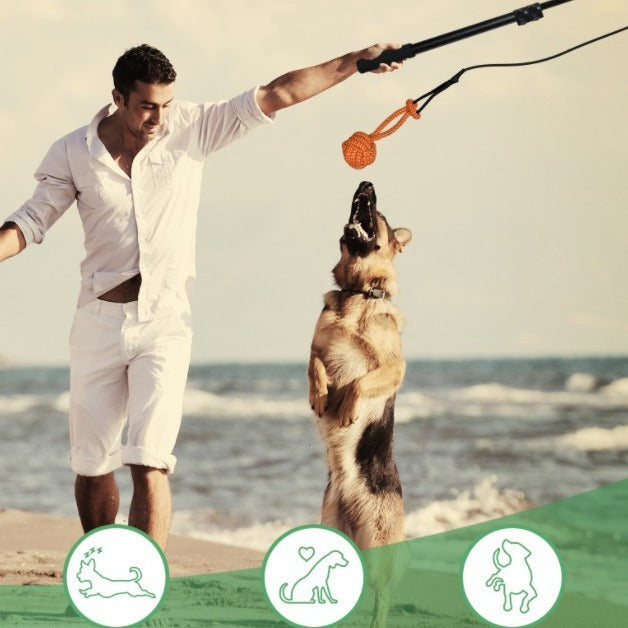 Retractable chien drôle bâton d'entraînement bâton