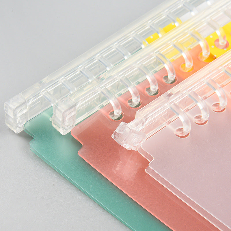 Plastic Flipbook Frosted Clip Accessories