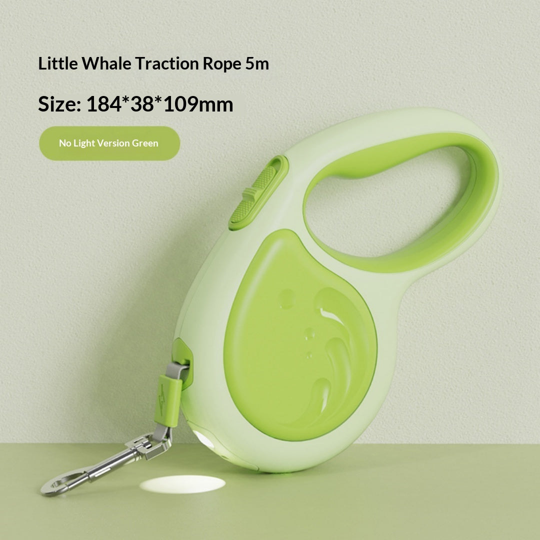 5m laisse rétractable pour animaux avec lampe de poche
