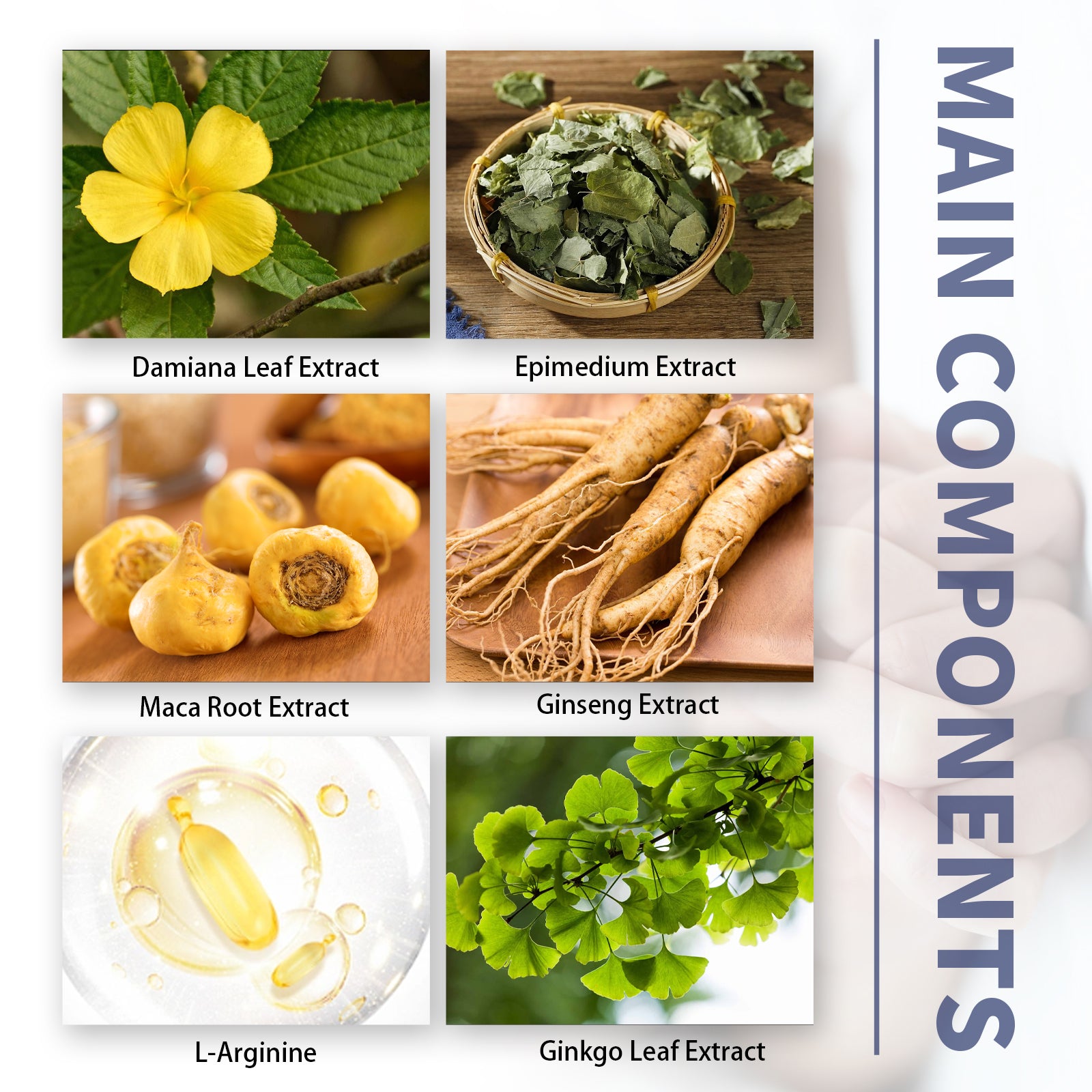Hommes Vitalité ProMAX gouttes
