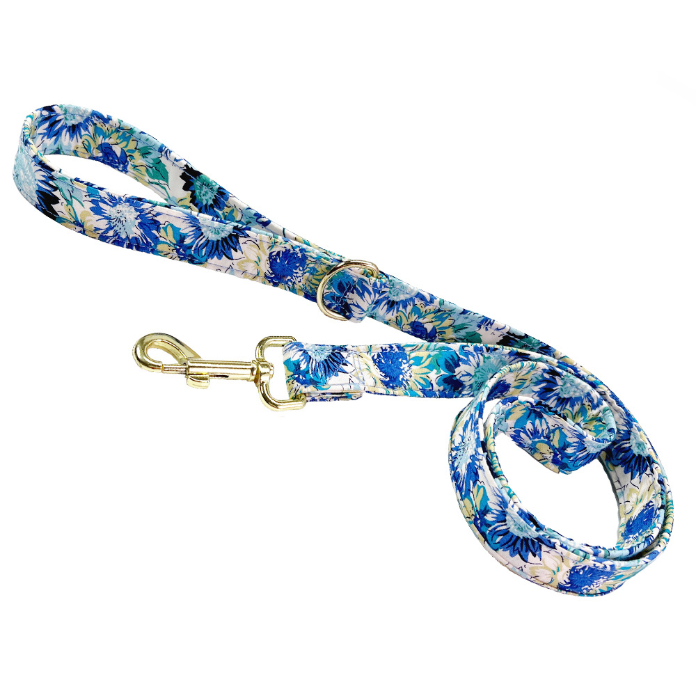 Collier gravé sur chien