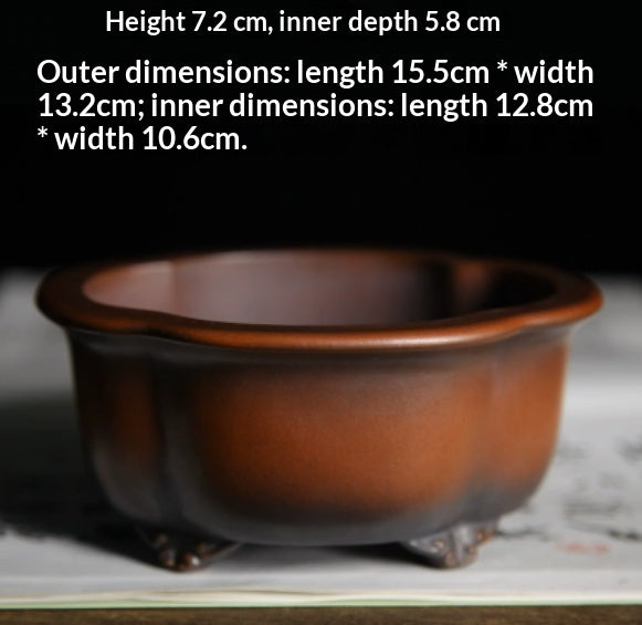 Penke Ceramics Premium Clay Pots de bureau Thé et Bonsai