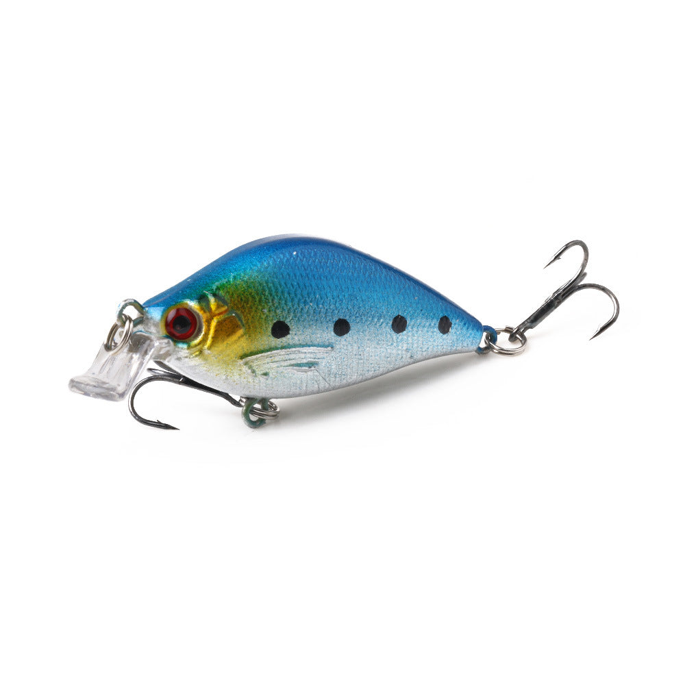 Simple pêche flottante eau Mino Rock Lure Lure