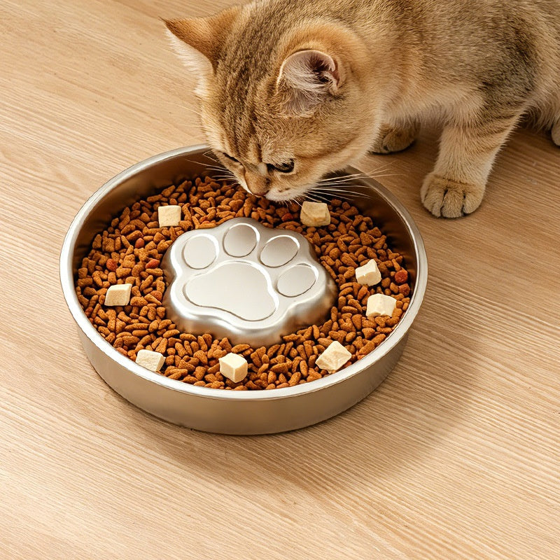 Épaisseur en acier inoxydable pour animaux de compagnie à alimentation lente