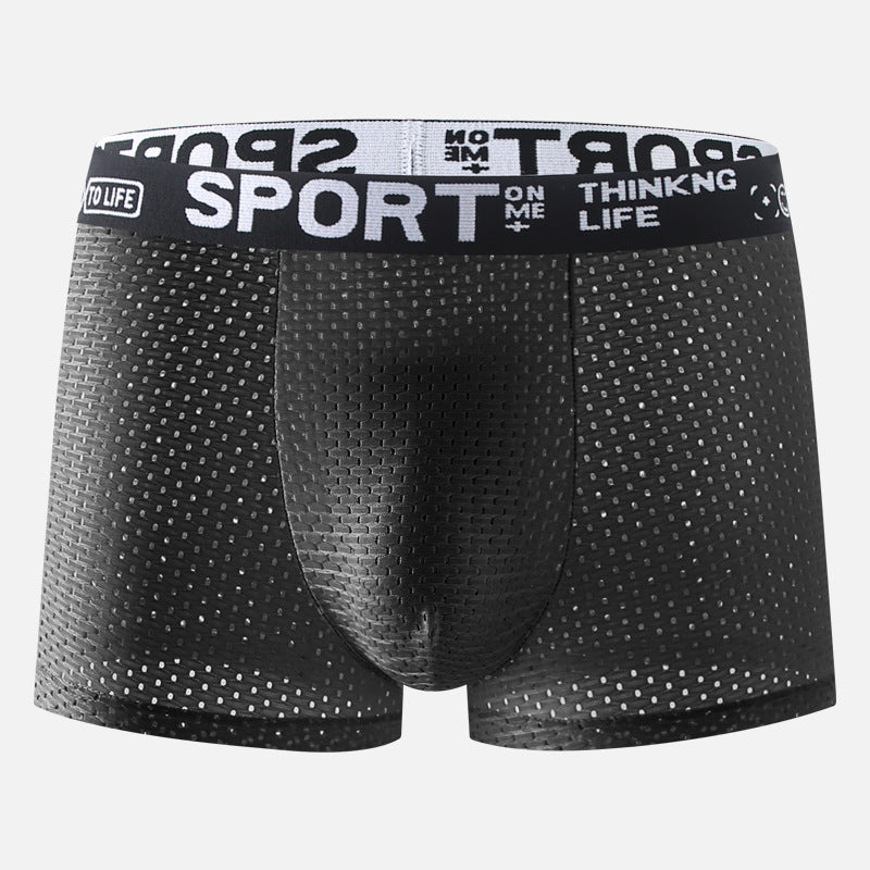 Sous-vêtements Hommes Ice Silk Mesh Boxers
