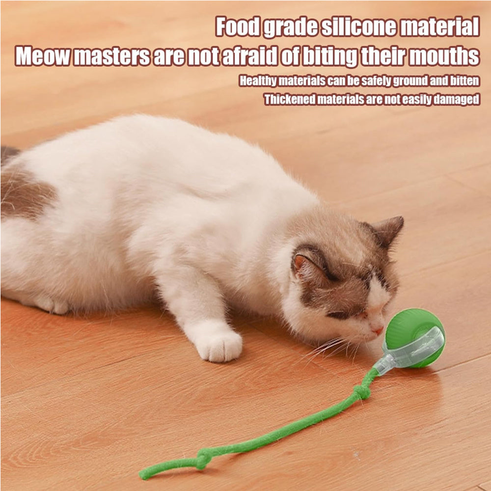 Jouet électrique de boule de chat de chien