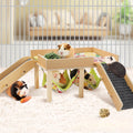 Nest double hamac de Guinée en bois avec un design amovible et une échelle pour les cages pour animaux de compagnie
