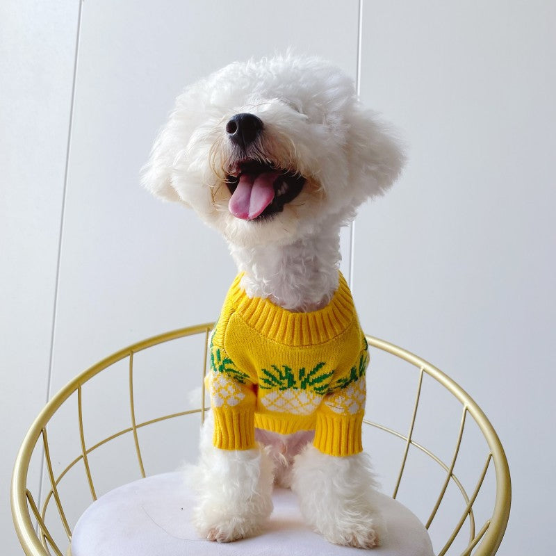 Mignon ananas Imprimer Jarre Aero Bull Automne et hiver Vêtements de Noël