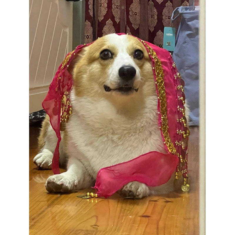 Danse Belly Fart Chaîne à paillettes Chaîne de taille Enthousiastique chien Fart Hip Scarf