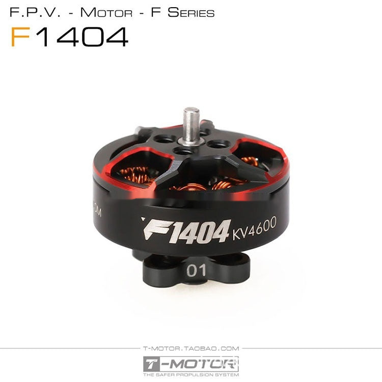 25 pouces 3 pouces Paddle ducted ultra-léger machine de dentipick FPV Crossing Motor Breaking Win