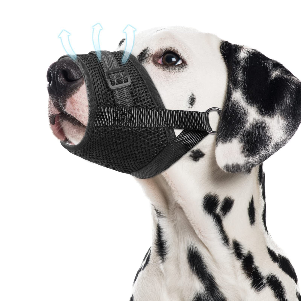 Le produit d'Amazon Muselière de chien doux respirant Muselière de mesh approprié pour petit