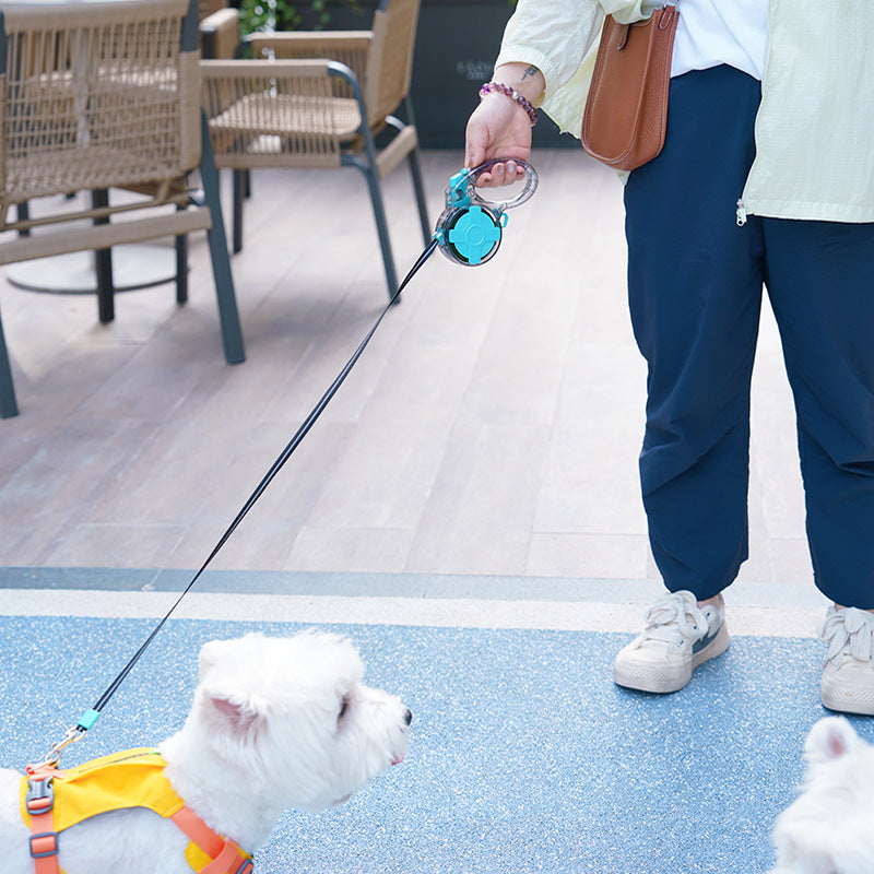 Corde de maintien automatique des mains de chien rétractable