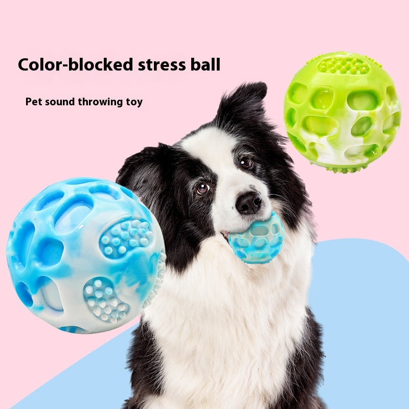 Aliments pour animaux Jouets en caoutchouc molaire résistant aux piqûres de chien