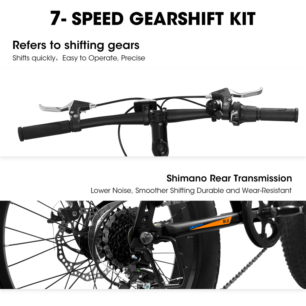 V202035 20 pouces Fat Tire Bike 7 Speed Mountain Bike