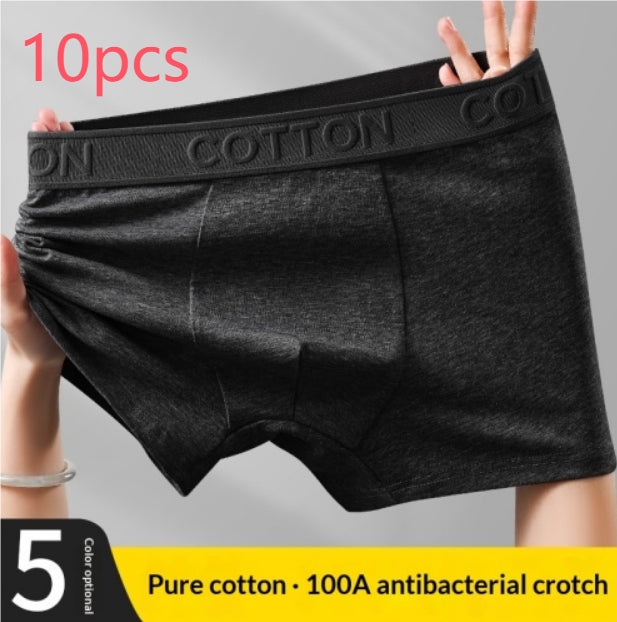 Boxer en coton antibactérien haut de gamme pour hommes