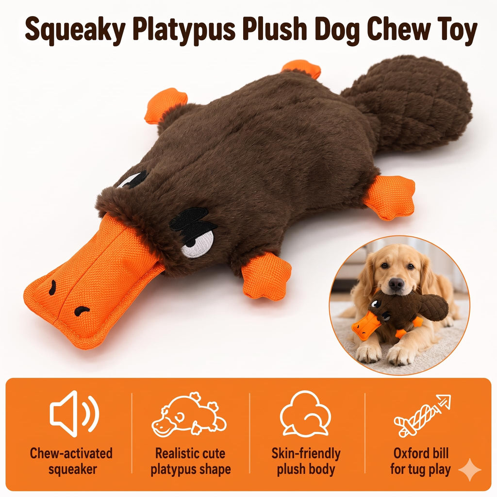 Jouet en peluche de chien squeaky