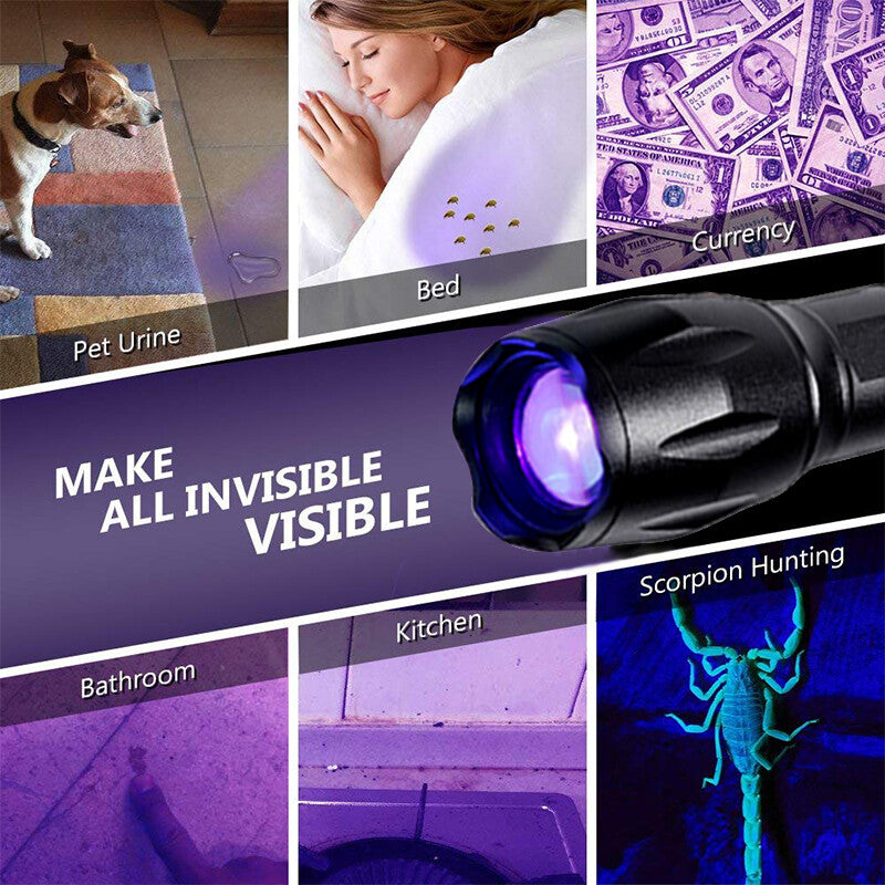 2x Lampe de poche UV LED Ultra Violet Blacklight Chasse Light Torch