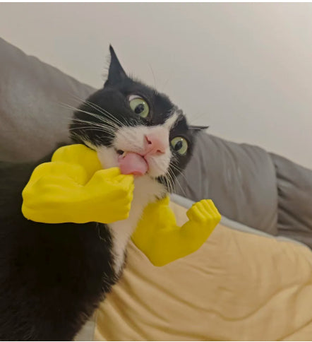 Amazons Pet Muscle-arm Gag article Une blague créative