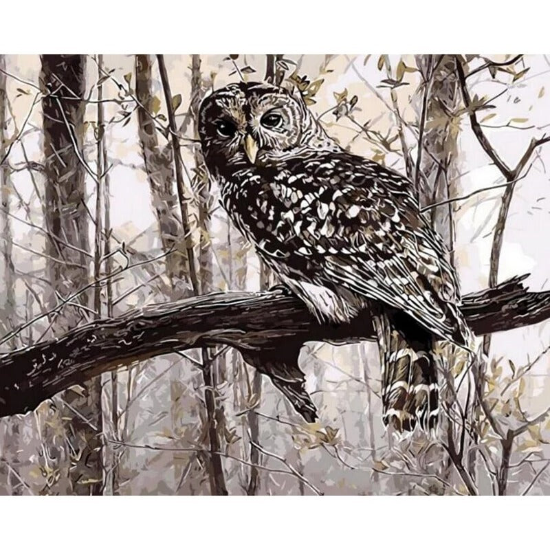Peinture numérique Owl Décoration de salon