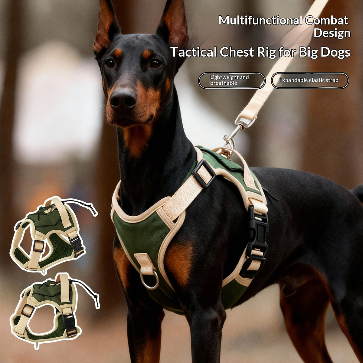 Pet Leash, spécialement pour les grands chiens