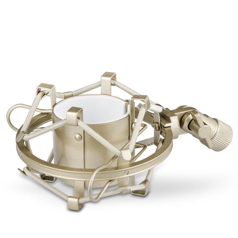 Microphone Condenseur Microphone Grand Diaphragme Microphone Condenseur