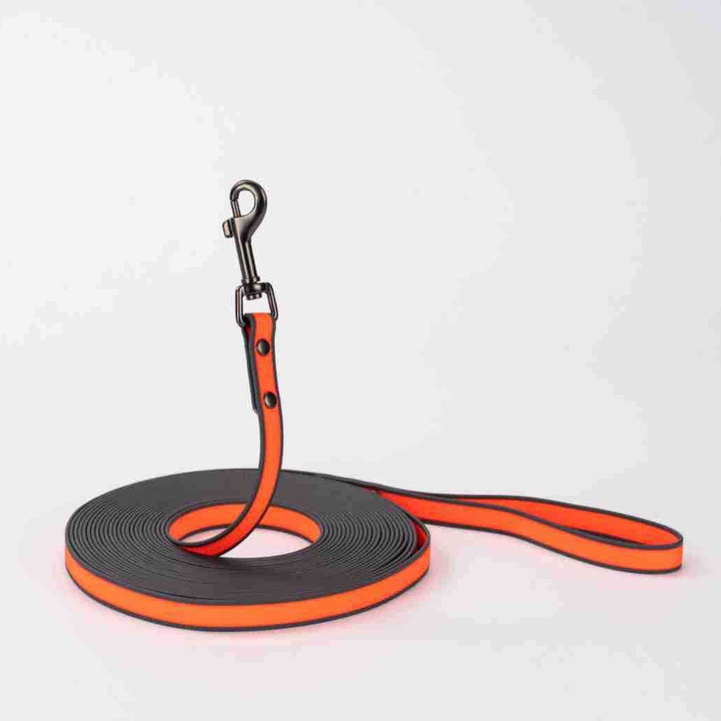 Meilleures ventes de produits pour animaux de compagnie en PVC