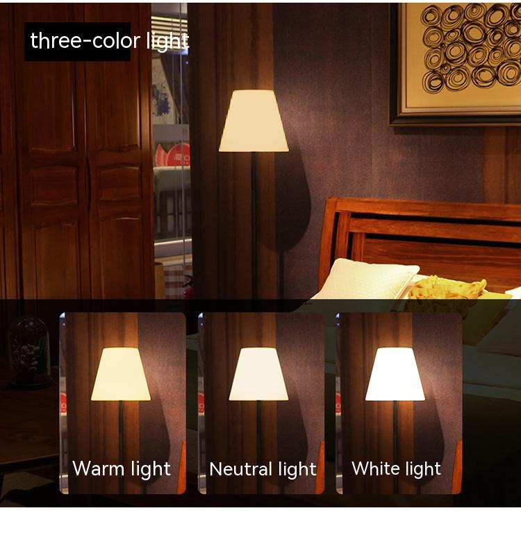 Lampe décorative simple LED lampe de plancher d'atmosphère créative
