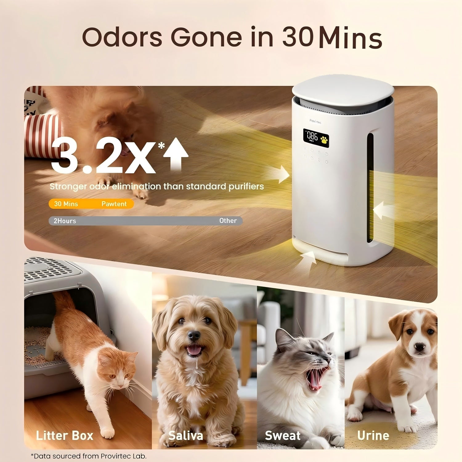 Purificateur d'air pour animaux de compagnie Provirtec pour la maison avec 4 pré-filtres lavables H13 HEPA pour les animaux de compagnie 2 Y