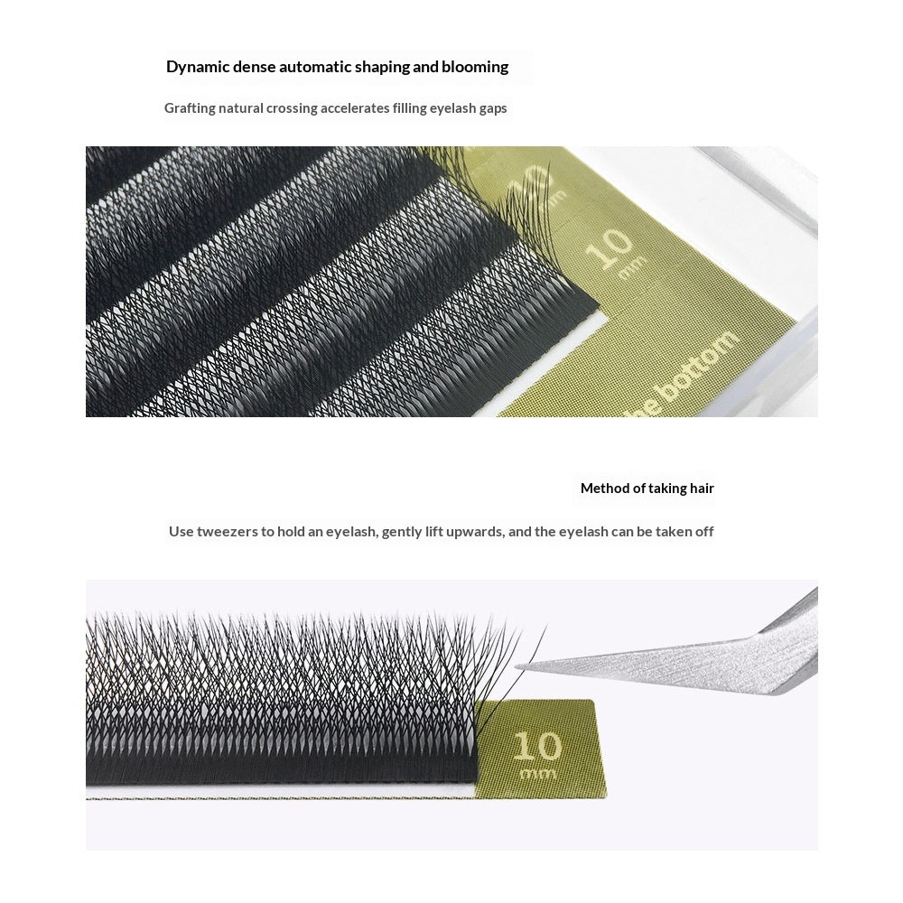 Extension 5D Lash avec boost de volume et Barbie-Look Curl