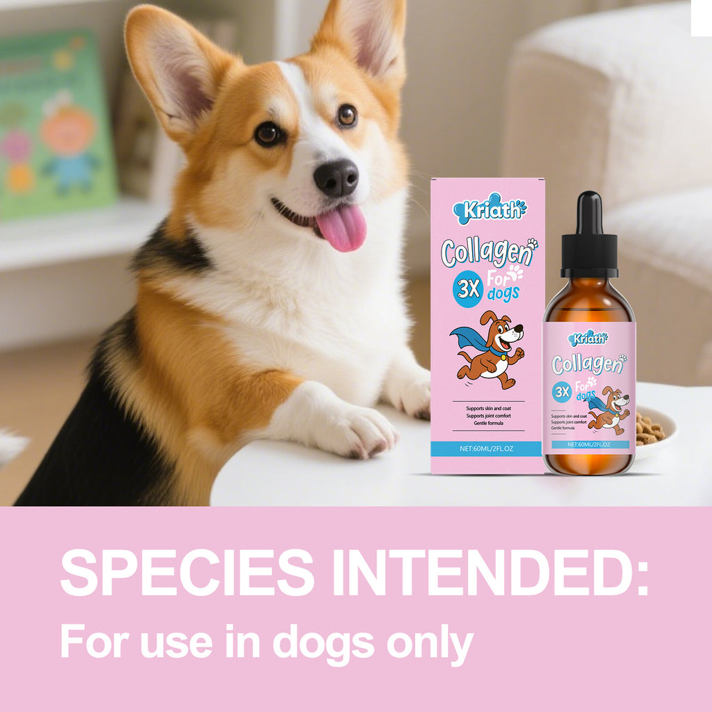 Kriath Pet Dog Nutrition gouttes formule légère pour la fourrure et soins de la peau aliments principaux avec supplemen