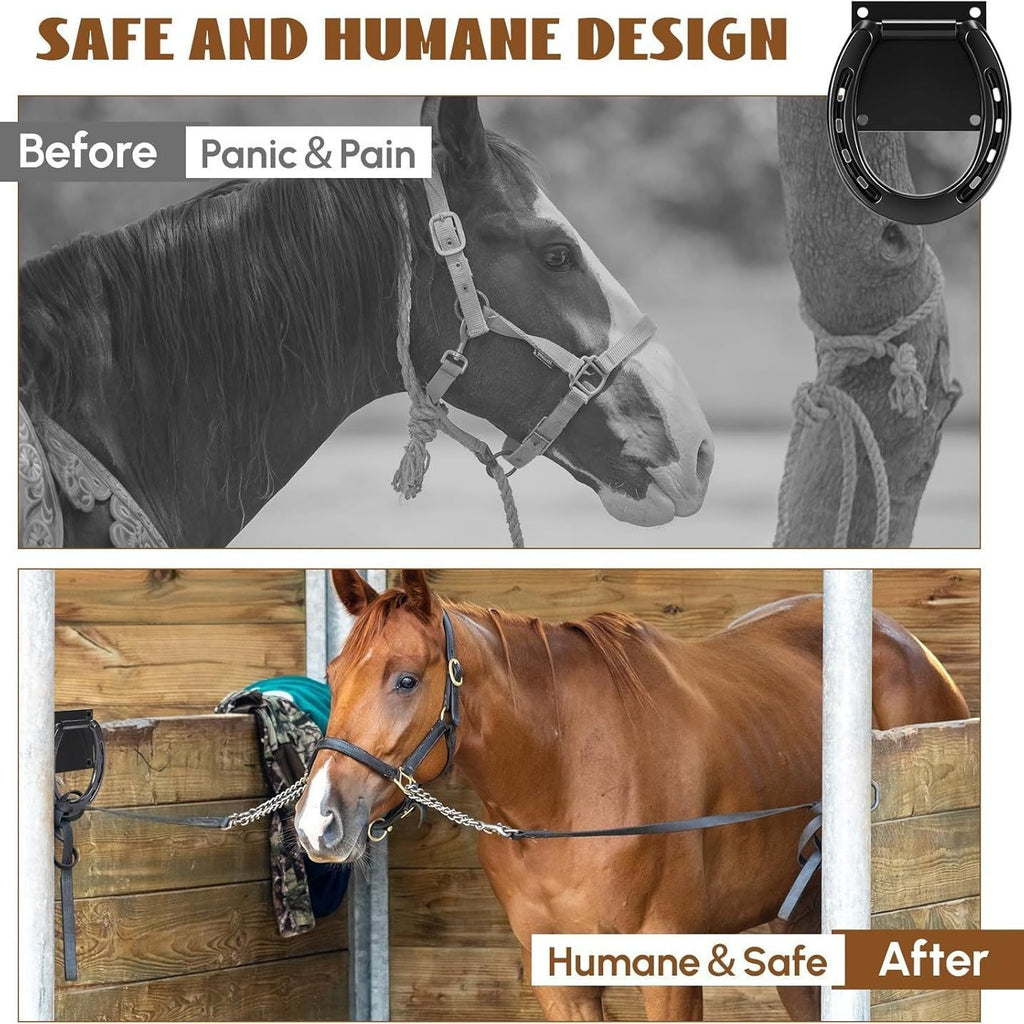 Bolt d'expansion de ceinture en acier solide avec anneau de cravate pour les chevaux lassoing