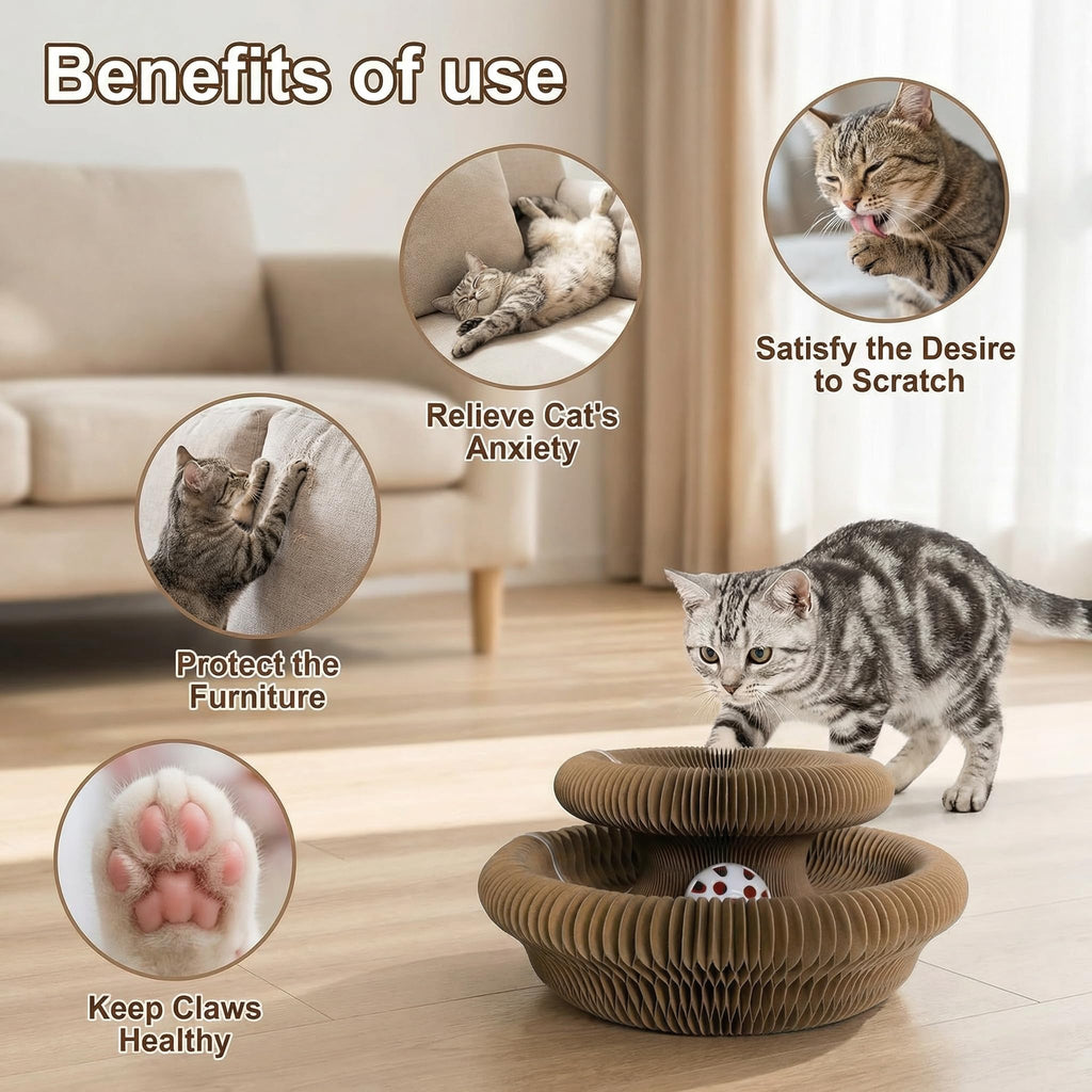 Jouet de chat,Tambour de chat Magic Organ, Jouet d'accordéon de chat recyclable pliable,Interactif