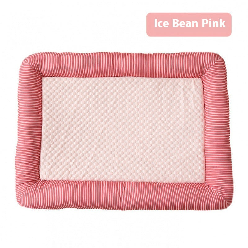 Chien de soie de glace de chat cool