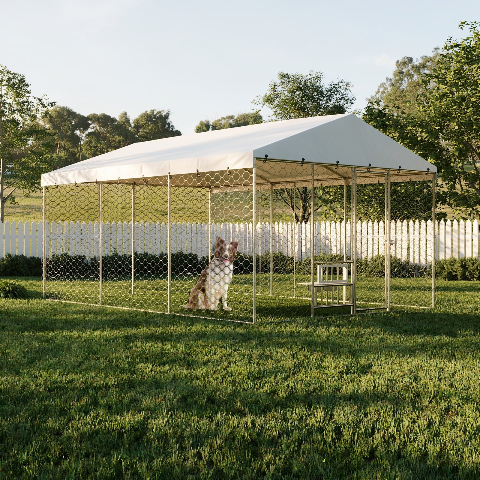 15x10 FT Grand Kennel de chien extérieur avec Canopy