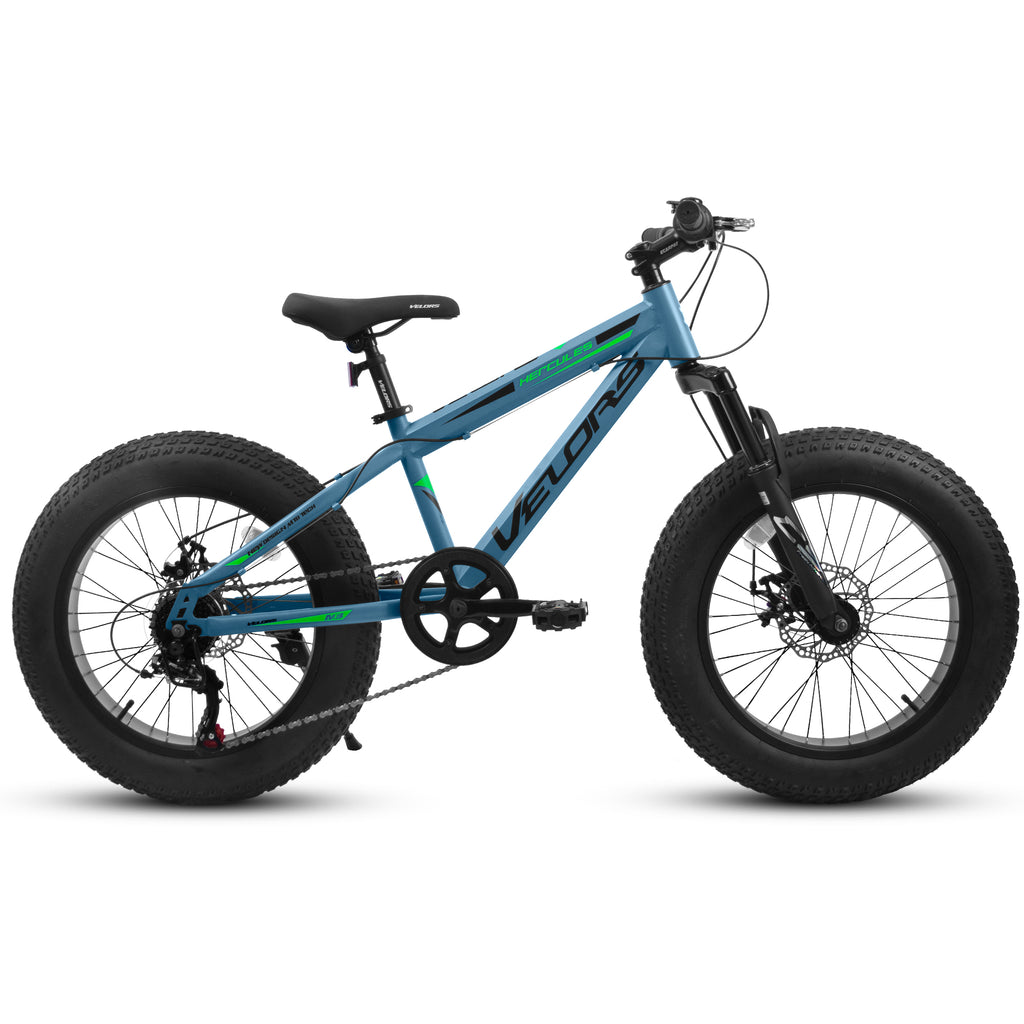 V202035 20 pouces Fat Tire Bike 7 Speed Mountain Bike