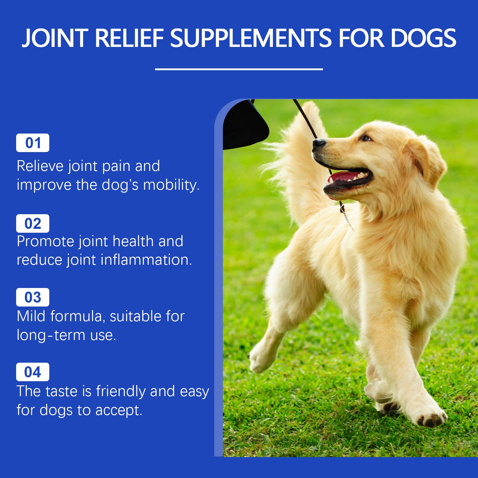 Dog Joint Relief Liquid Supplément gouttes