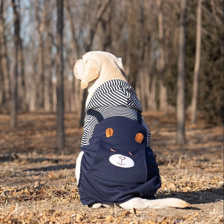Grand vêtement Année Grand chien de taille moyenne