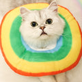 Collier conique pour les chats taille réglable