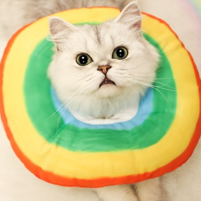 Collier conique pour les chats taille réglable