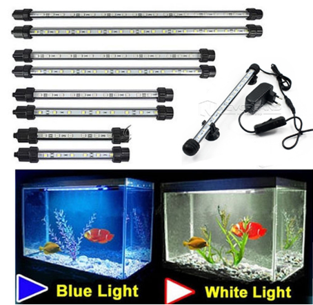 Aquarium-box projecteurs met en lumière la plongée aquatique festival de lanterne étanche et paysaque