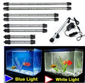 Aquarium-box projecteurs met en lumière la plongée aquatique festival de lanterne étanche et paysaque