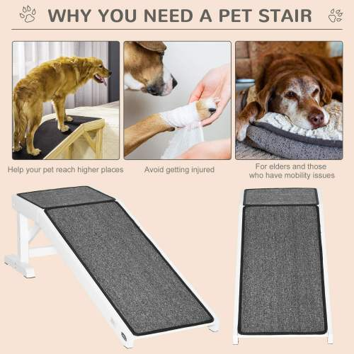 Ramp pour lit de chien