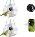 Pet Smart Feeder Surveillance en temps réel en plein air avec caméra HD