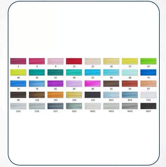 Double-tête alcool huileux couleur Animation stylo de peinture pour les étudiants professionnels d'art
