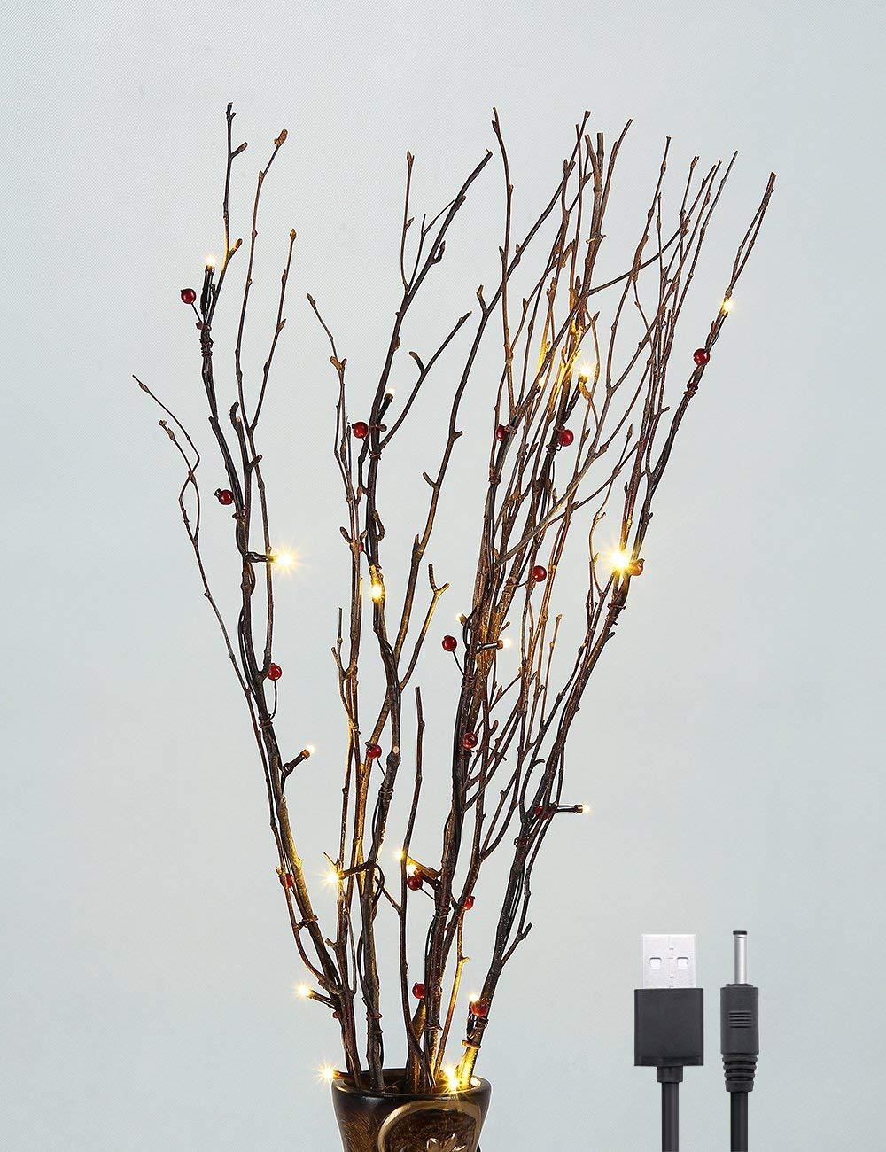 Decorative string lights illuminate the night