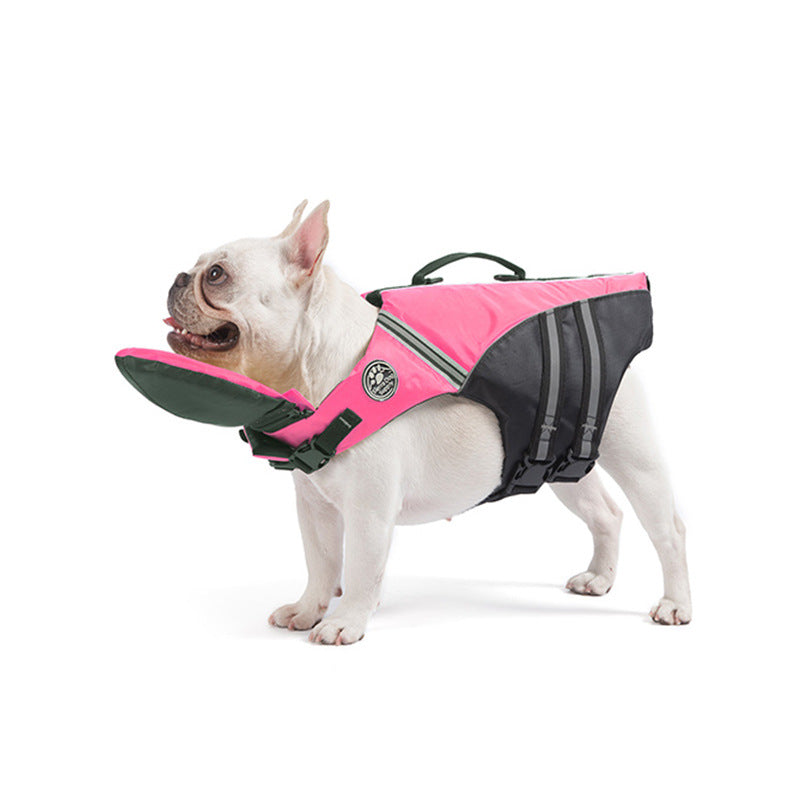 Maillot de bain professionnel pour animaux de compagnie