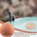 Nettoyeur de bain d'oiseaux