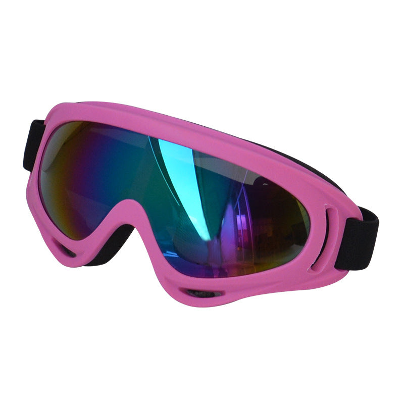 Lunettes de soleil extérieures pour chiens Décoration